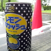2016/07/17_高松公園 芝水園脇のトイレ前で小休止