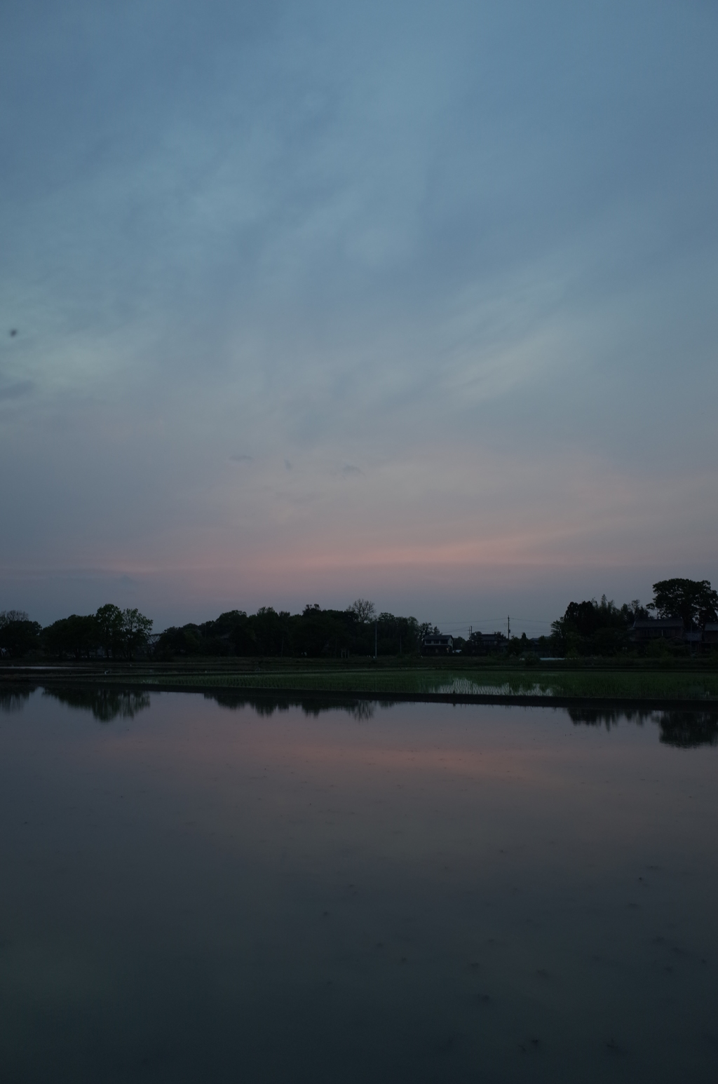 2016/05/01_水田の夕暮れ
