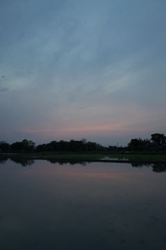 2016/05/01_水田の夕暮れ
