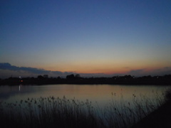 2017/03/04_溜め池の夕暮れ