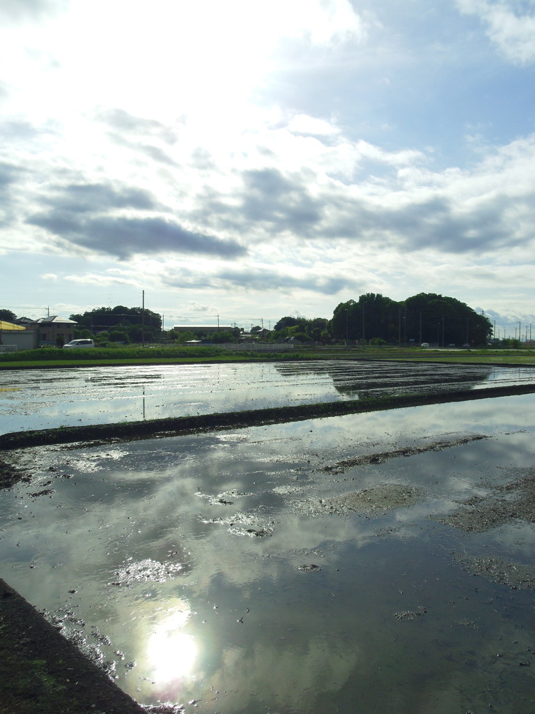 2017/05/14_水田に雲