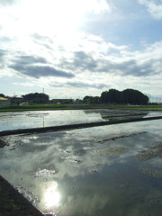 2017/05/14_水田に雲