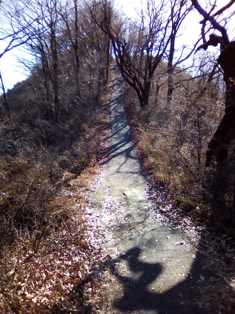 2017/12/30_登谷山への道