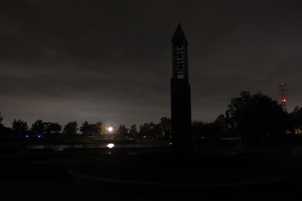 2015/10/04_夜の平成の森公園