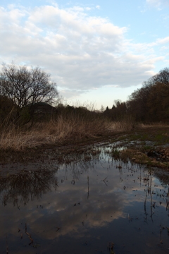 2016/03/26_北本自然観察公園