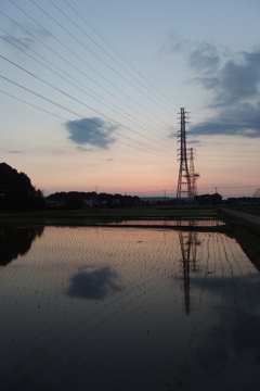 2016/06/05_水田の夕暮れ