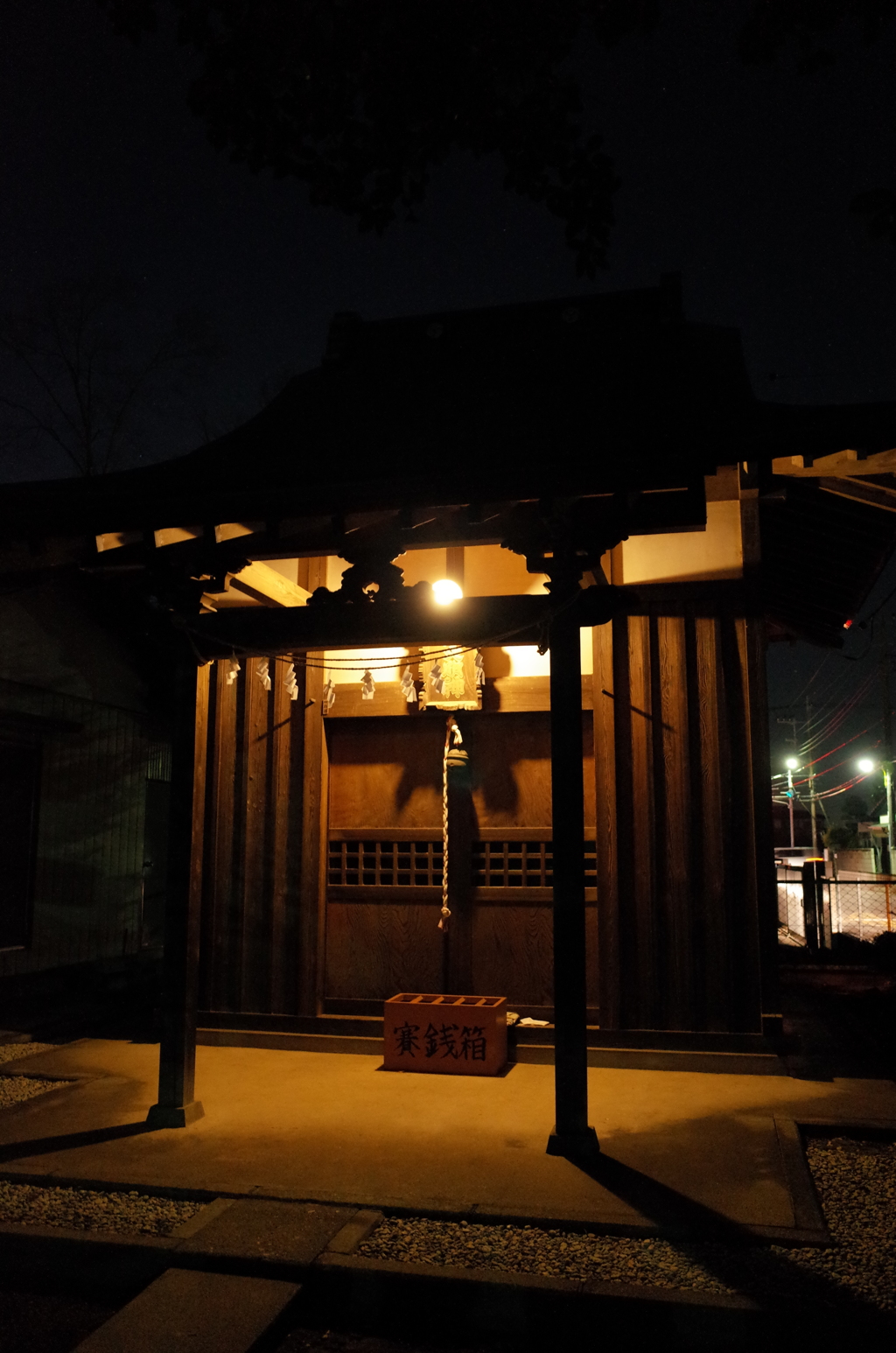 2015/01/24_夜の氷川神社