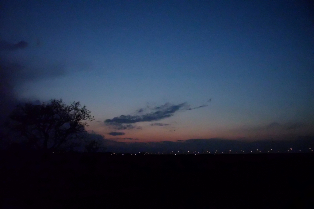 2014/03/09_夕暮れの木と太郎右衛門橋