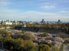2019/04/12_宿から朝の大阪城公園を望む