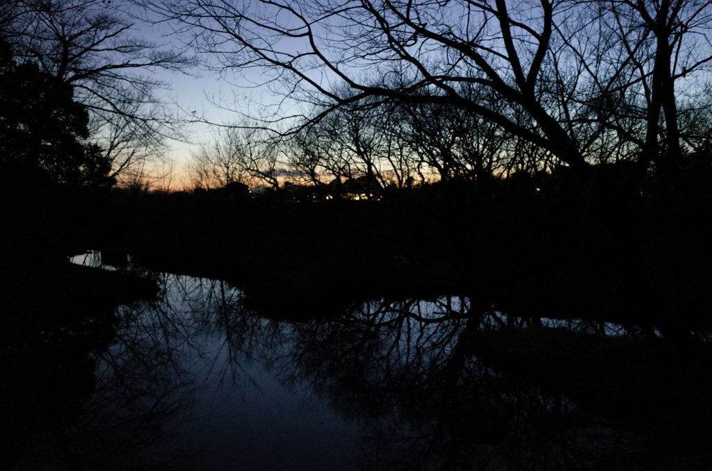 2015/02/14_夕暮れの秋葉の森総合公園