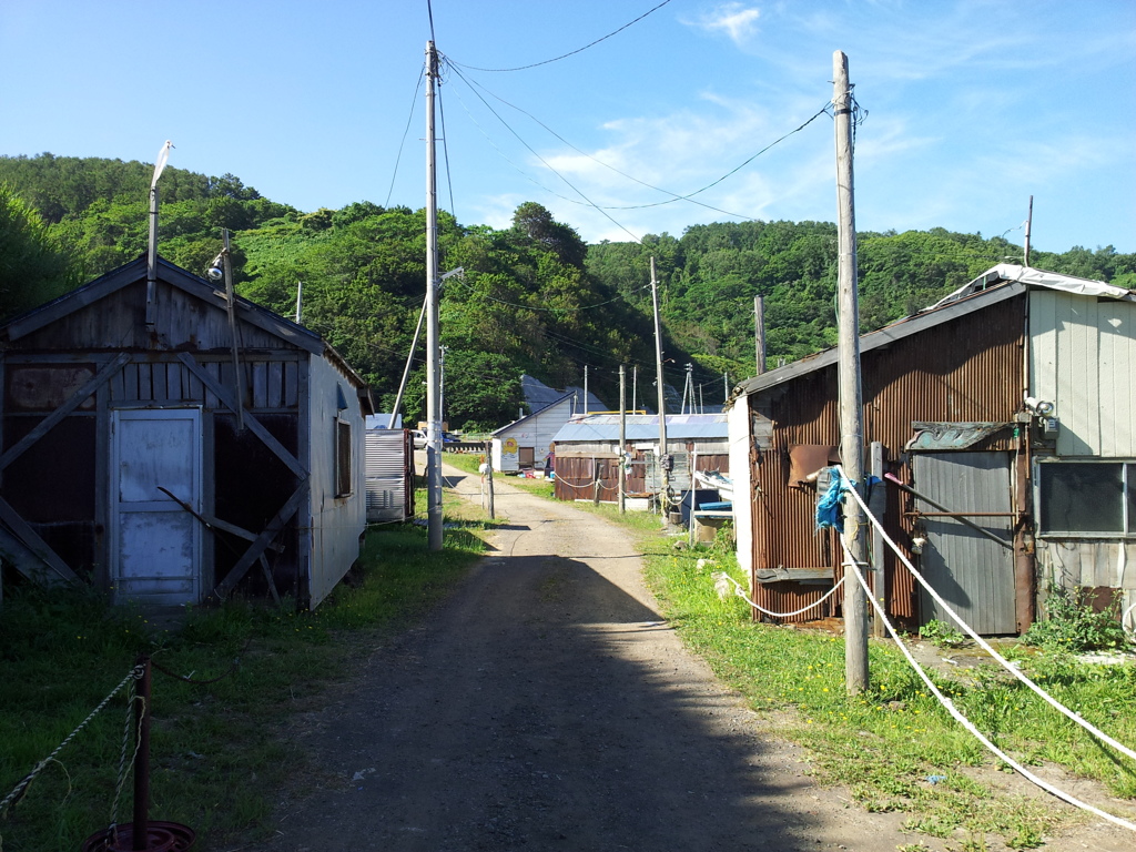 2016/08/14_桃内海岸の道