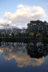 2015/11/03_岩槻城址公園