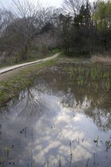 2016/03/26_北本自然観察公園