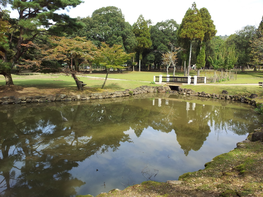 2016/10/18_奈良公園 浅茅ヶ原園地の池
