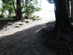 2017/05/04_神明神社参道に日差し