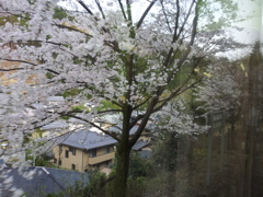 2019/04/13_叡山電鉄鞍馬線からの車窓風景