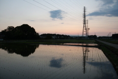 2016/06/05_水田の夕暮れ