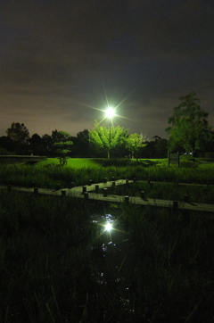 2015/10/04_夕暮れの平成の森公園