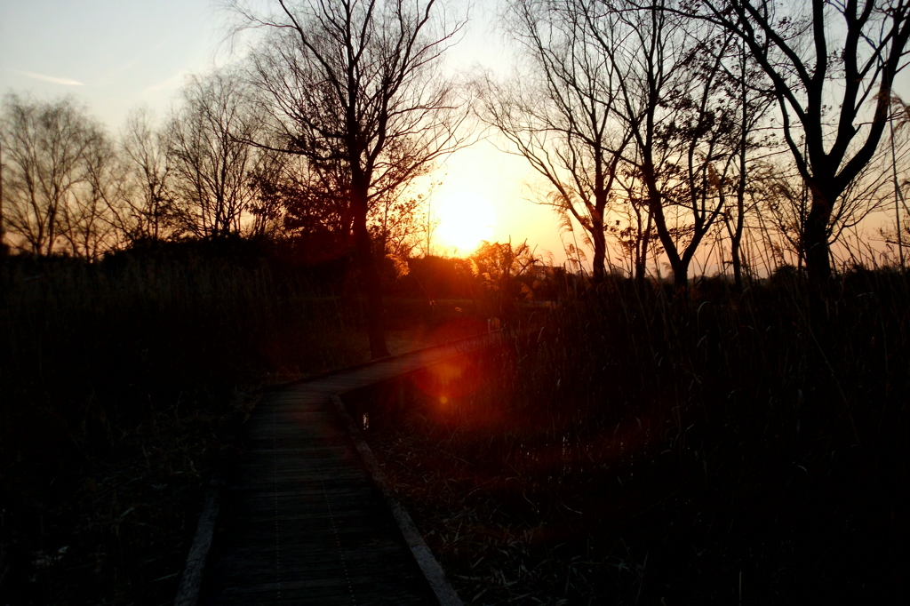 2015/02/11_ホタルの里