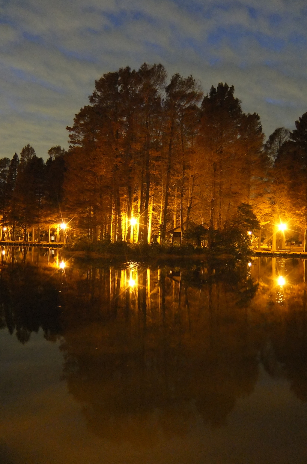 2014/12/07_夕暮れの別所沼公園