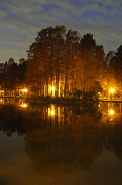 2014/12/07_夕暮れの別所沼公園