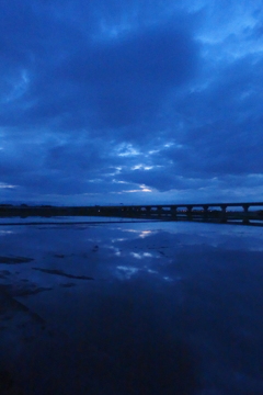 2015/06/21_水田の夕暮れ