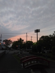 2016/04/24_夕暮れのせせらぎ公園