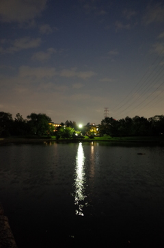 2015/10/04_夕暮れの平成の森公園