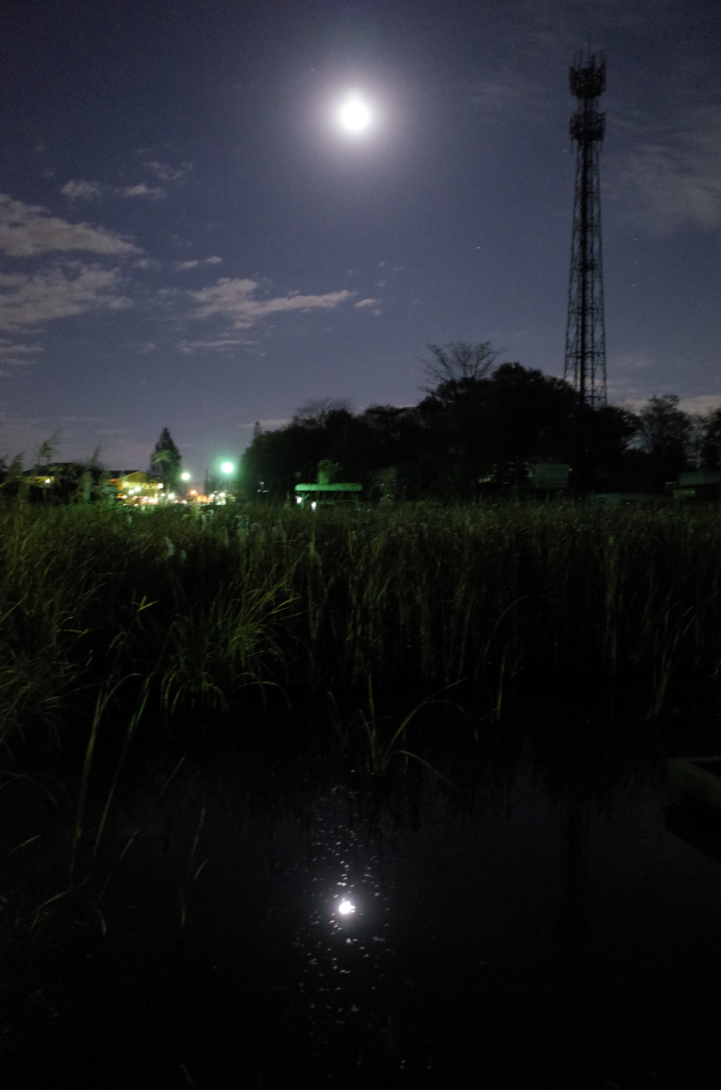 2014/12/07_月夜の下芝水辺公園
