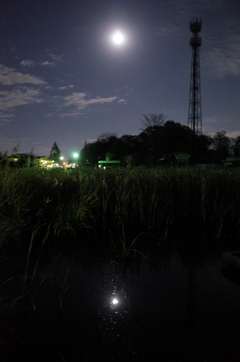 2014/12/07_月夜の下芝水辺公園