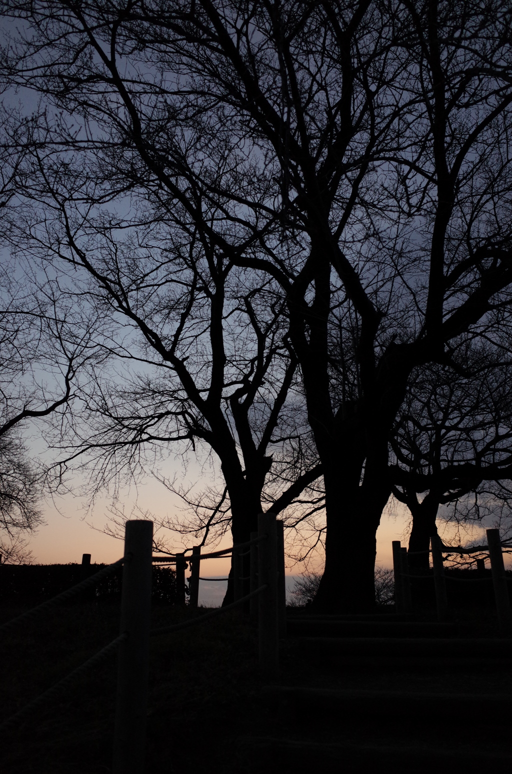 2014/12/31_夕暮れの丸墓山古墳