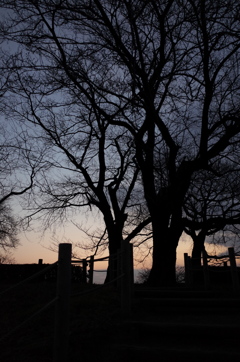 2014/12/31_夕暮れの丸墓山古墳