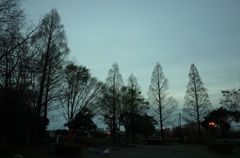 2015/04/12_伊奈町制施行記念公園の夕暮れ