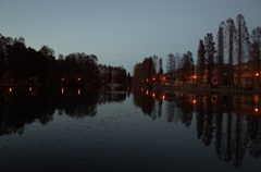 2014/12/14_夕暮れの別所沼公園