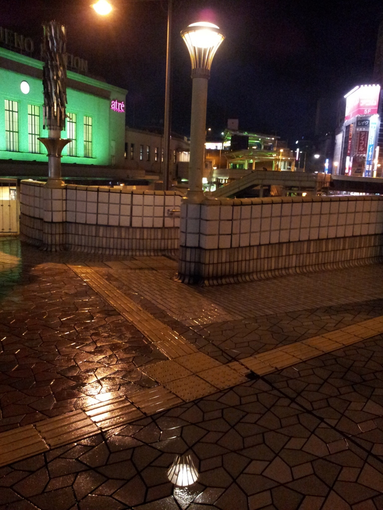 2011/11/20_夜、雨上がりの上野