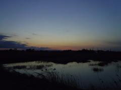 2017/02/19_溜め池の夕暮れ