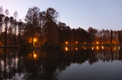 2014/12/14_夕暮れの別所沼公園