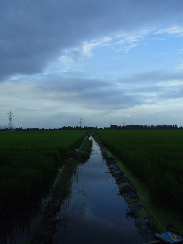 2017/08/12_用水路に雲