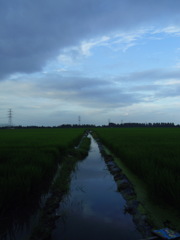 2017/08/12_用水路に雲