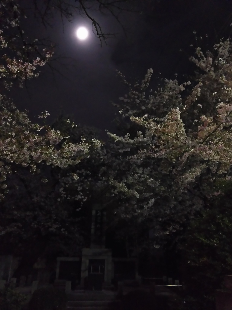 2017/04/10_伊奈中「英霊の塔」の夜桜と月