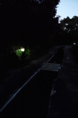 2014/11/15_夕暮れの鴨川みずべの里