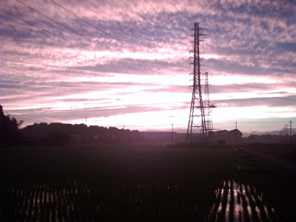 2015/06/27_水田の夕暮れ