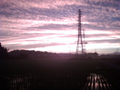 2015/06/27_水田の夕暮れ