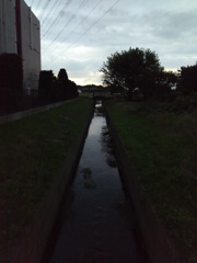 2016/10/23_夕暮れの用水路