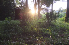 2015/05/10_夕暮れの辯才天堂