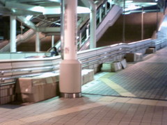 2015/12/11_ねぐら