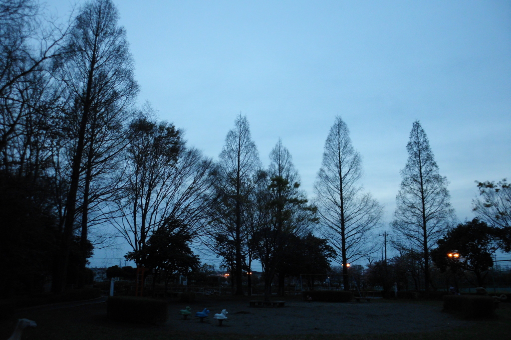 2015/04/12_伊奈町制施行記念公園の夕暮れ