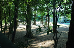 2015/05/24_夕暮れのゴルフ場