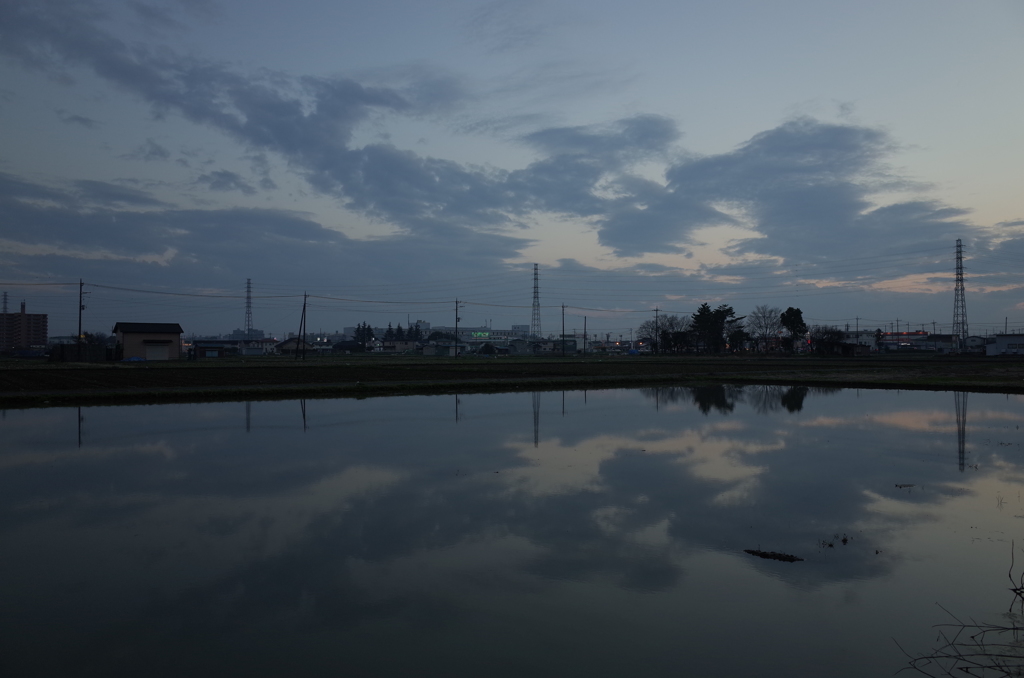 2016/03/19_水田の夕暮れ