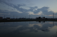 2016/03/19_水田の夕暮れ